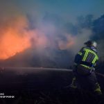 Понад 2 гектари землі обпалило вогнем: на Вінниччині за добу сталося сім пожеж