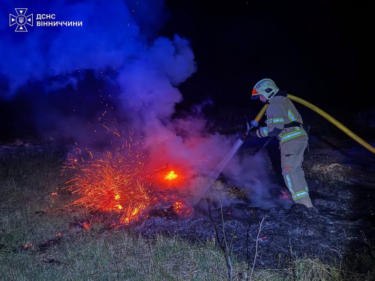 Майже 3 гектари вигоріло на Вінниччині через пожежі в екосистемах
