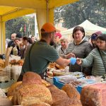 Осінні ярмарки у Вінниці: де і коли можна буде придбати продукцію від виробників