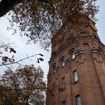 Фоторепортаж: осіння Вінниця у барвах вересня