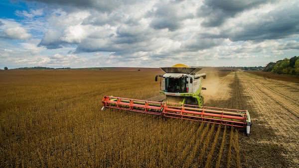 Осінні польові роботи на Вінниччині: аграрії збирають урожай і сіють озимі