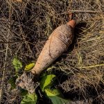 На Вінниччині знайшли мінометну міну часів Другої світової війни
