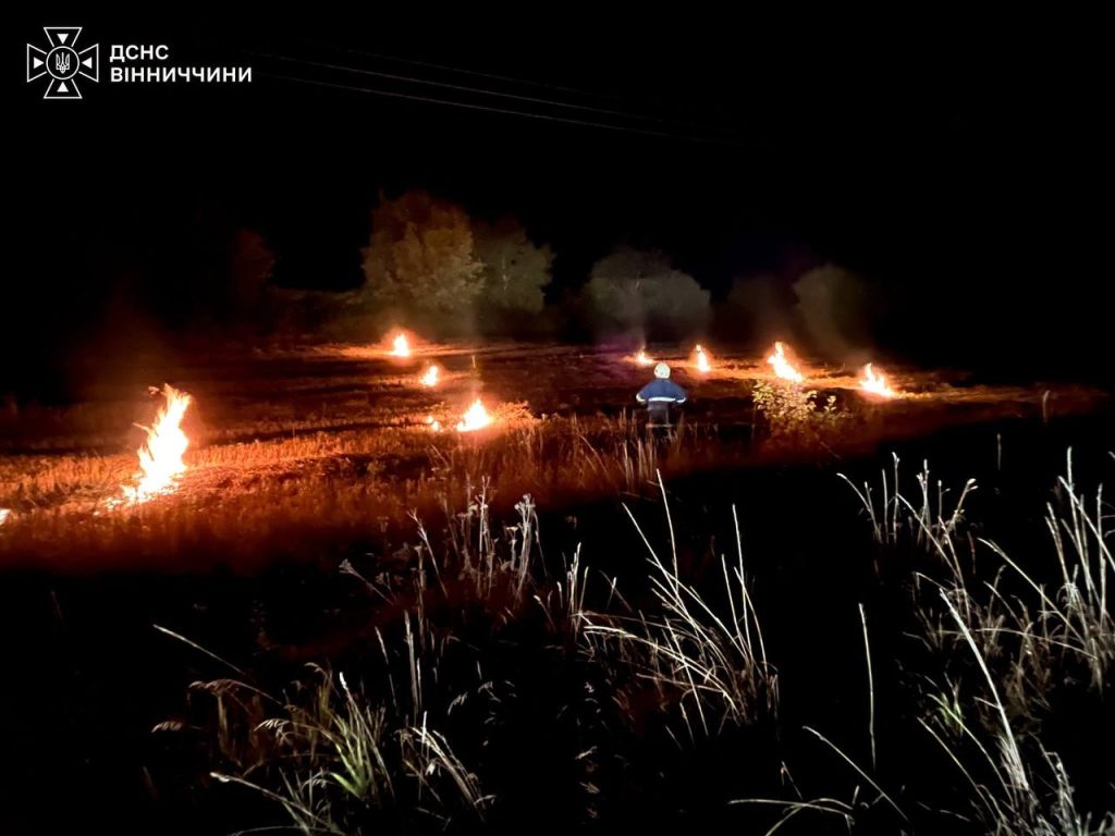 Понад 4 гектари у вогні: на Вінниччині знову горіла суха рослинність