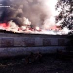 На Вінниччині горів склад із 300 тоннами зерна та соняшнику: пожежу ліквідували рятувальники