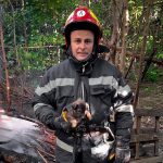 35 собак врятували під час пожежі у Вінниці: одна тварина загинула