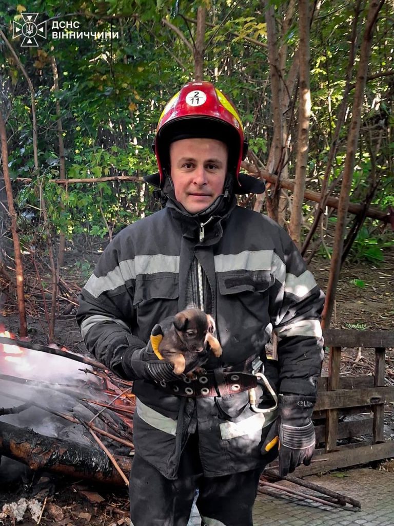35 собак врятували під час пожежі у Вінниці: одна тварина загинула