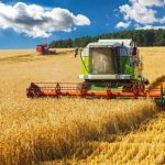 На Вінниччині триває збір технічних культур та посів озимих