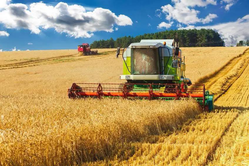 На Вінниччині триває збір технічних культур та посів озимих