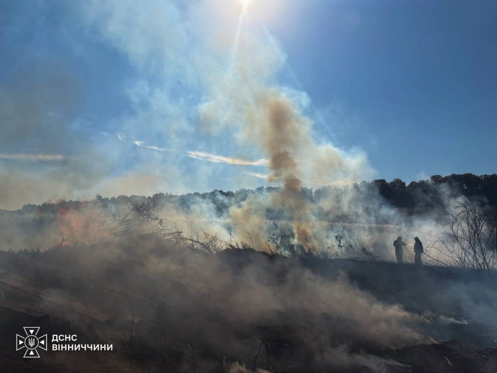 Понад шість гектарів сухої трави згоріли на Вінниччині за добу
