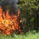 На Вінниччині 6-8 жовтня прогнозують надзвичайний рівень пожежної небезпеки