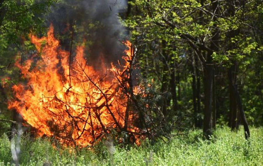 На Вінниччині 6-8 жовтня прогнозують надзвичайний рівень пожежної небезпеки
