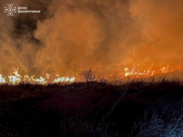На Вінниччині за добу сталося 13 пожеж на відкритих територіях