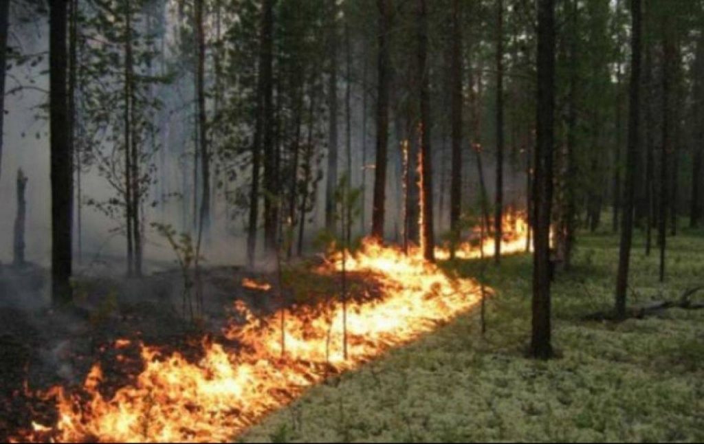 На Вінниччині 9–11 жовтня очікують надзвичайний рівень пожежної небезпеки