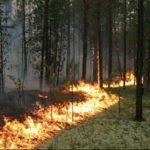 На Вінниччині 9–11 жовтня очікують надзвичайний рівень пожежної небезпеки