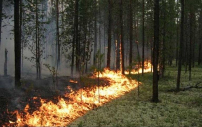 На Вінниччині 9–11 жовтня очікують надзвичайний рівень пожежної небезпеки