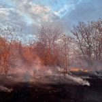 Майже 10 гектарів землі вигоріли на Вінниччині за добу