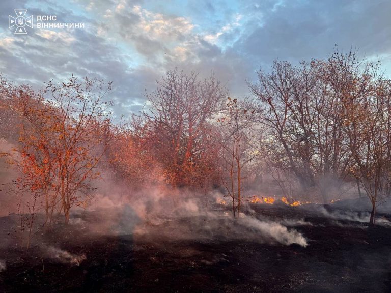 Майже 10 гектарів землі вигоріли на Вінниччині за добу