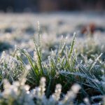 Заморозки до 3° прогнозують на Вінниччині вночі та вранці 14–15 жовтня