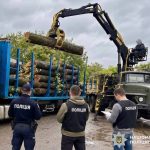На Вінниччині викрили чотирьох працівників лісництва через незаконну вирубку на 5,5 млн грн