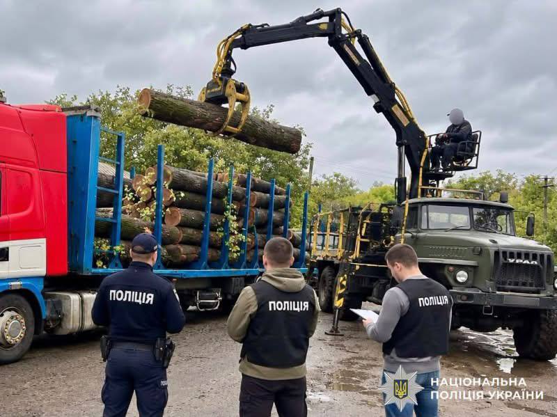 На Вінниччині викрили чотирьох працівників лісництва через незаконну вирубку на 5,5 млн грн